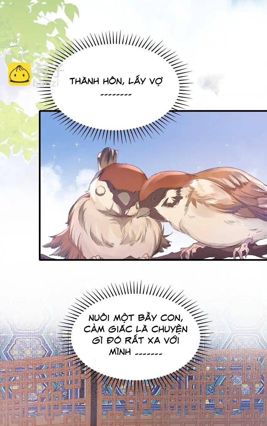 Loạn Thế Vi Vương Chapter 64 - 5