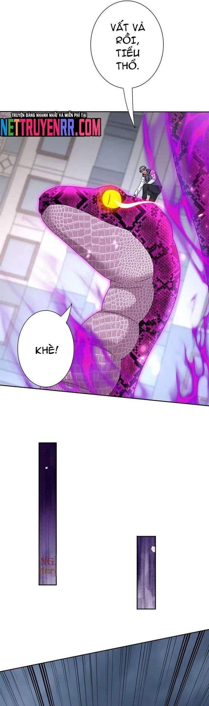 Sau Khi Sống Lại Ở Mạt Thế, Ta Điên Cuồng Thăng Cấp Chapter 52 - 11