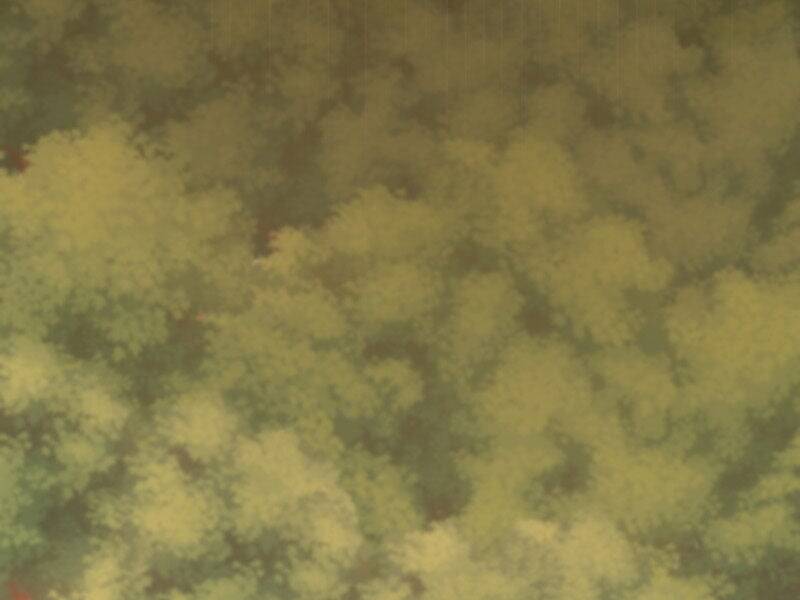 Đồ Đệ Của Ta Đều Là Đại Yêu Vô Địch Chapter 19 - 41