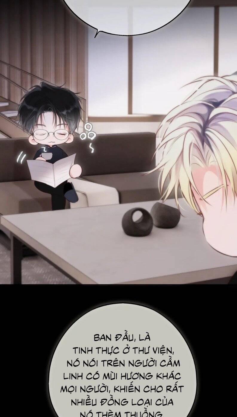 Hoặc Tinh Chi Mục Chapter 12 - 49
