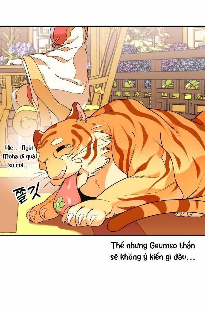 Chiến Lược Săn Hổ Của Nữ Thần Chapter 15 - 48