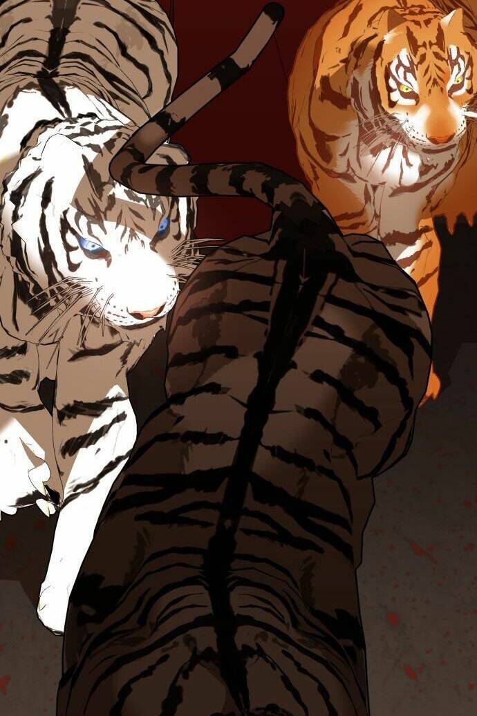 Chiến Lược Săn Hổ Của Nữ Thần Chapter 2 - 18