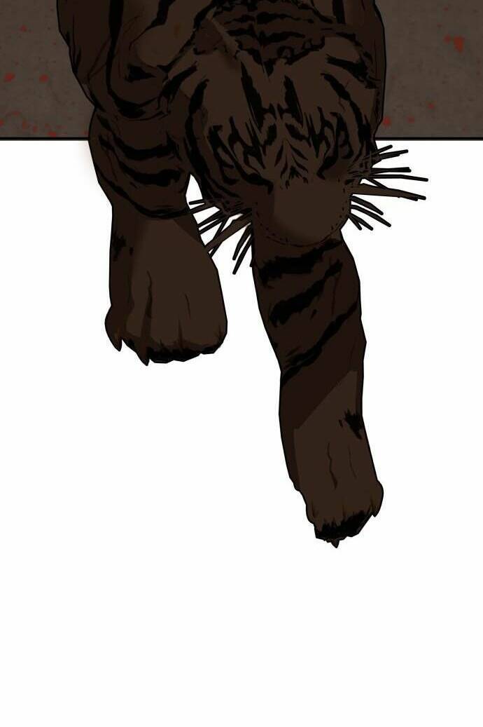 Chiến Lược Săn Hổ Của Nữ Thần Chapter 2 - 19