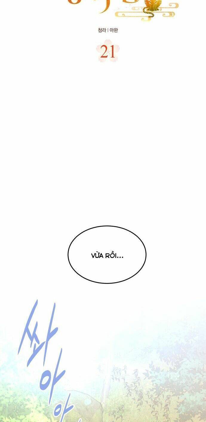 Chiến Lược Săn Hổ Của Nữ Thần Chapter 21 - 11