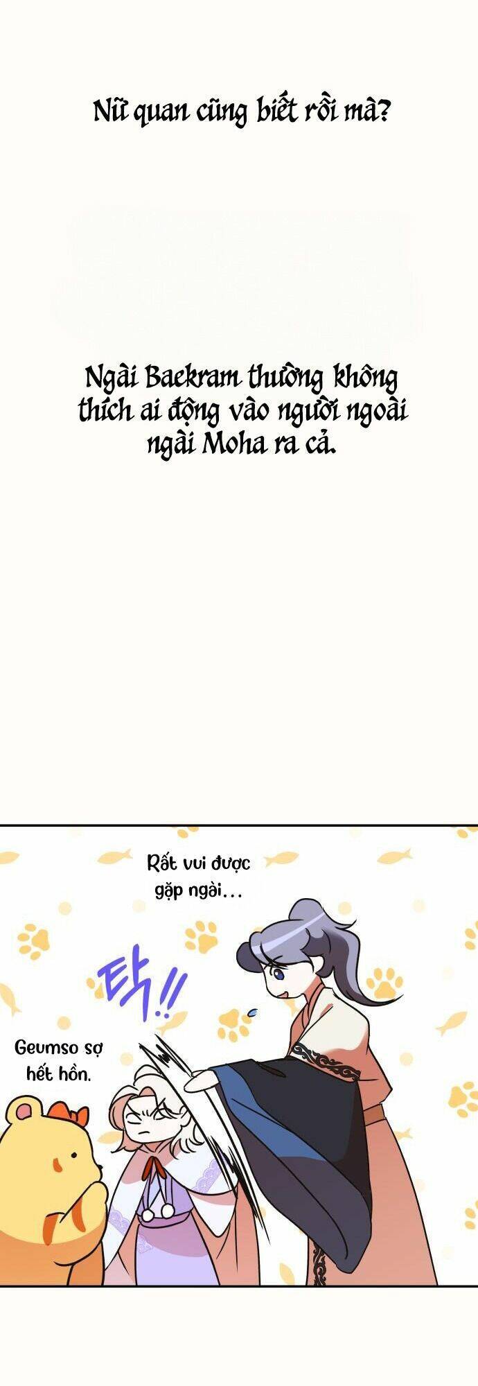 Chiến Lược Săn Hổ Của Nữ Thần Chapter 33 - 95