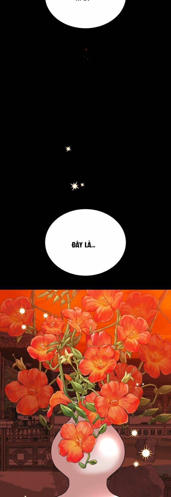 Chiến Lược Săn Hổ Của Nữ Thần Chapter 51 - 61