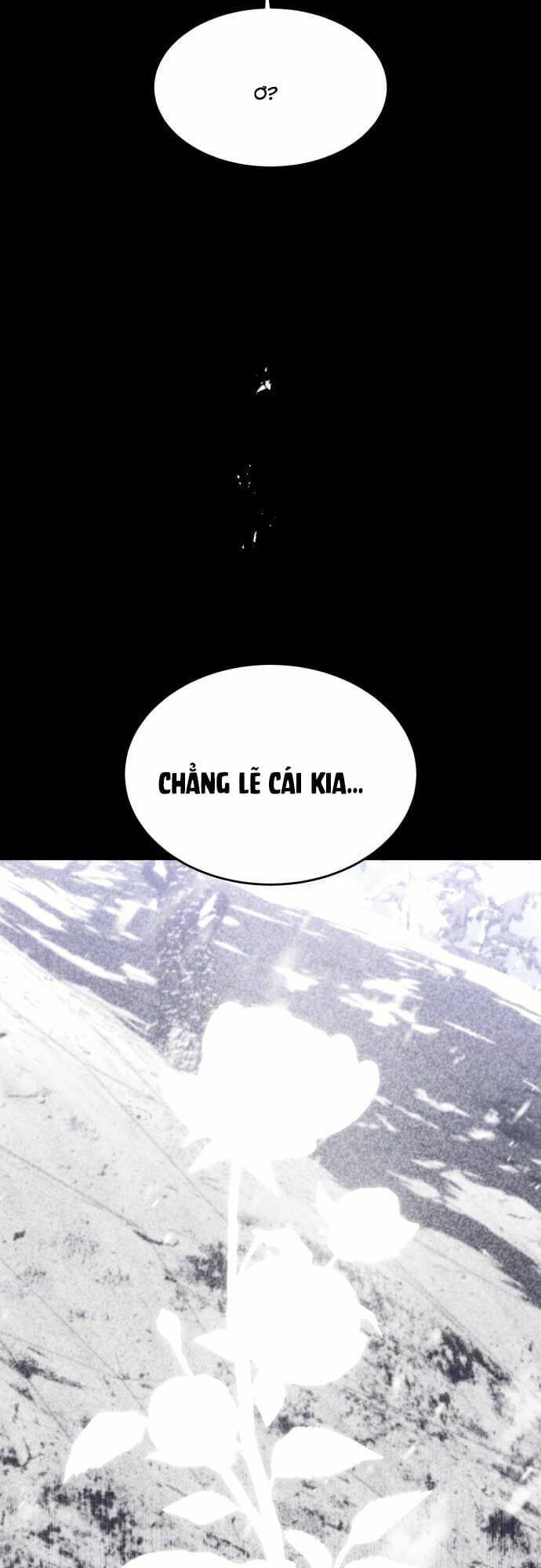 Chiến Lược Săn Hổ Của Nữ Thần Chapter 53 - 81