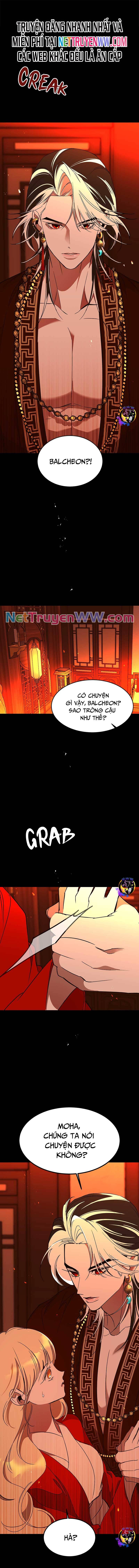 Chiến Lược Săn Hổ Của Nữ Thần Chapter 57 - 1