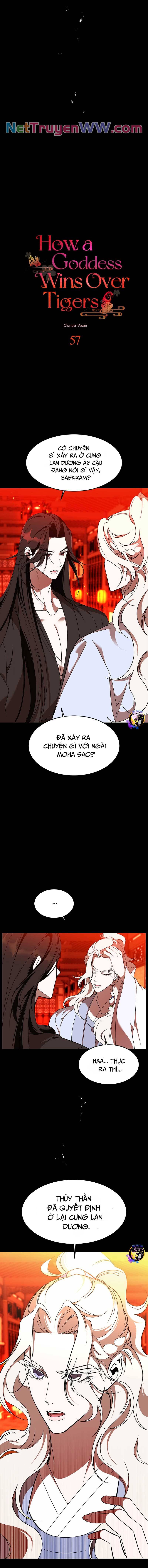 Chiến Lược Săn Hổ Của Nữ Thần Chapter 57 - 2