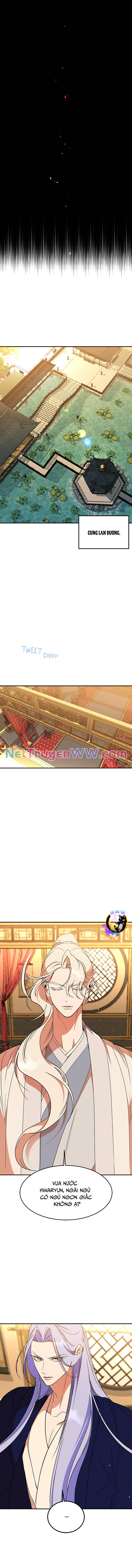 Chiến Lược Săn Hổ Của Nữ Thần Chapter 58 - 6