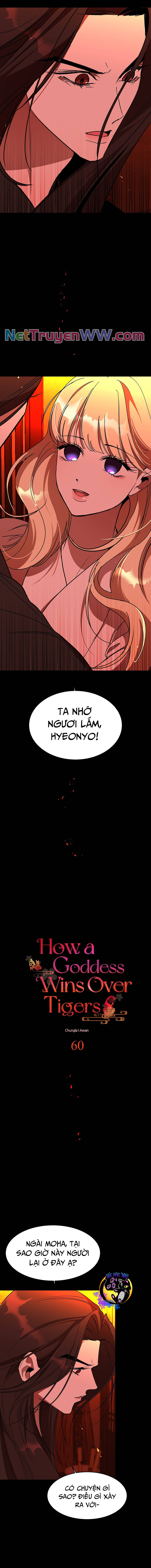 Chiến Lược Săn Hổ Của Nữ Thần Chapter 60 - 6
