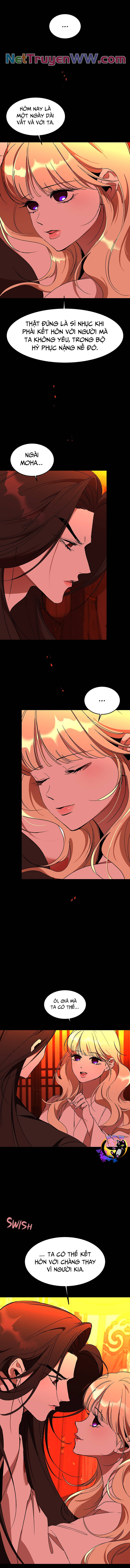 Chiến Lược Săn Hổ Của Nữ Thần Chapter 60 - 8