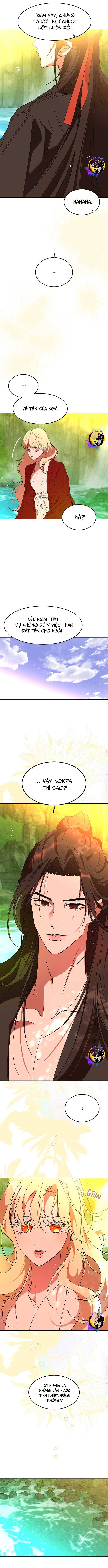 Chiến Lược Săn Hổ Của Nữ Thần Chapter 62 - 16