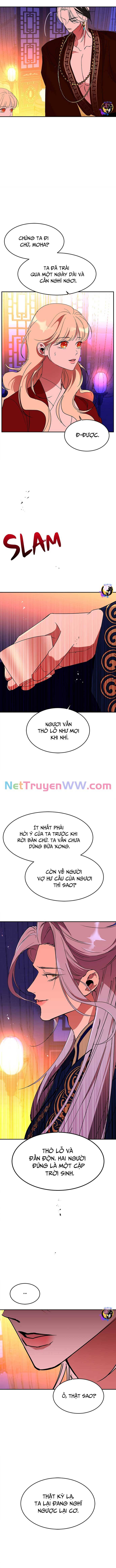 Chiến Lược Săn Hổ Của Nữ Thần Chapter 64 - 11