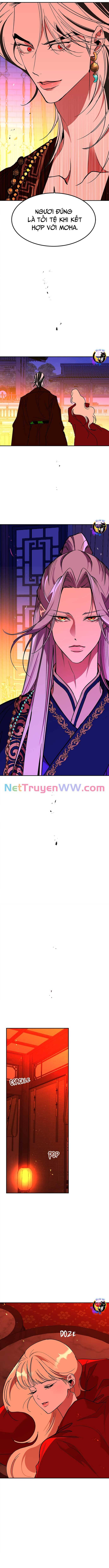 Chiến Lược Săn Hổ Của Nữ Thần Chapter 64 - 12