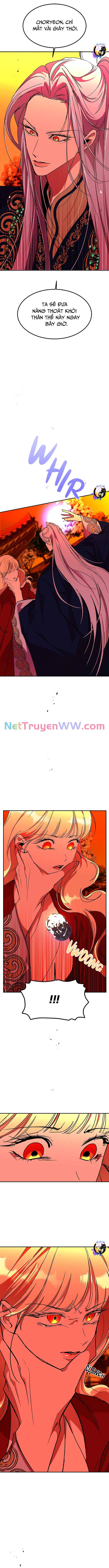 Chiến Lược Săn Hổ Của Nữ Thần Chapter 64 - 4