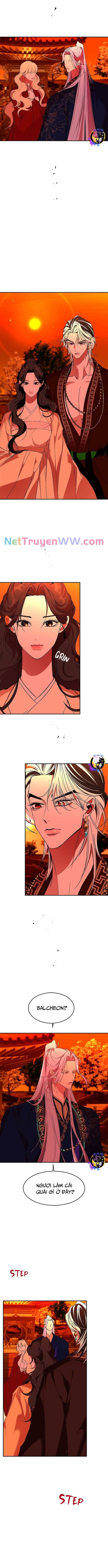 Chiến Lược Săn Hổ Của Nữ Thần Chapter 64 - 7