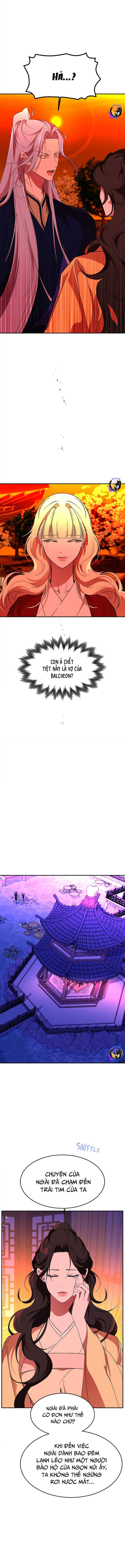 Chiến Lược Săn Hổ Của Nữ Thần Chapter 64 - 9