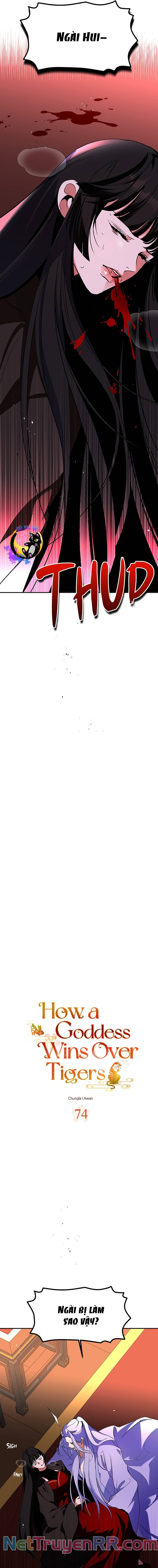 Chiến Lược Săn Hổ Của Nữ Thần Chapter 74 - 2