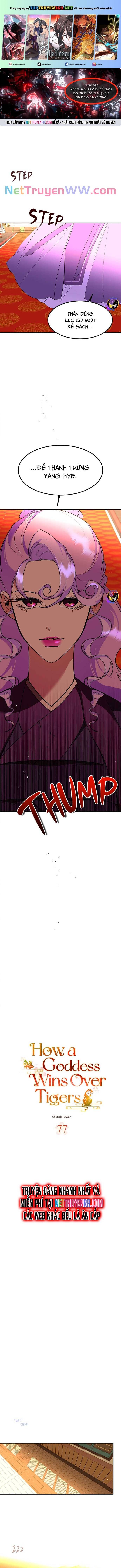 Chiến Lược Săn Hổ Của Nữ Thần Chapter 77 - 2