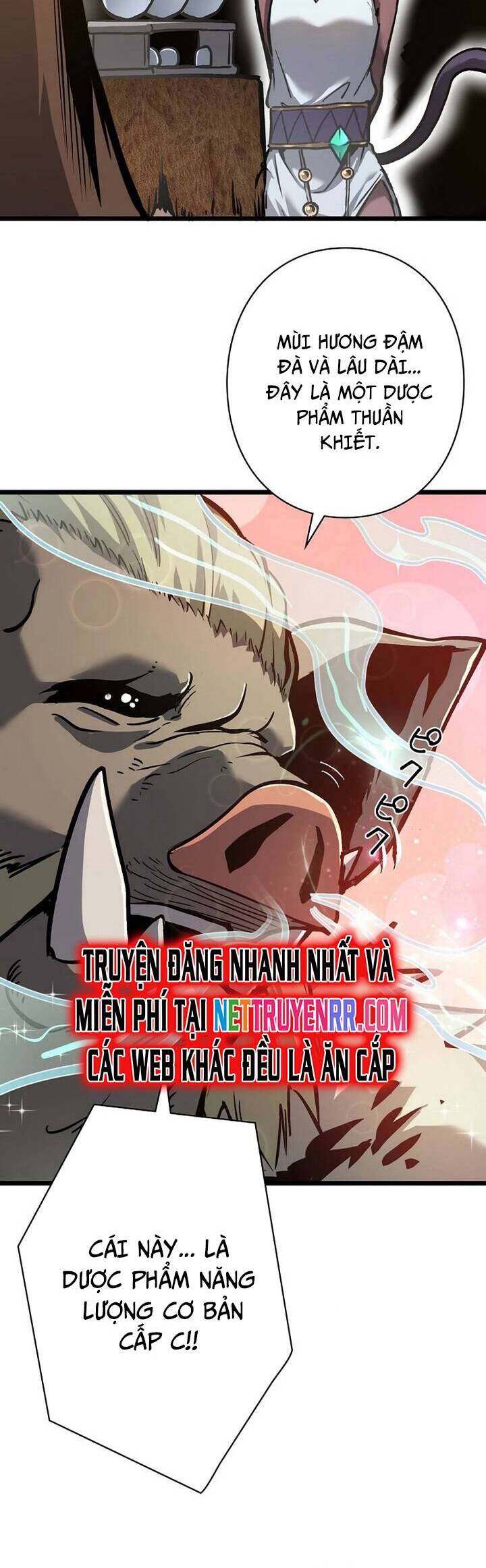 Trở Thành Anh Hùng Mạnh Nhất Nhờ Gian Lận Chapter 22 - 38