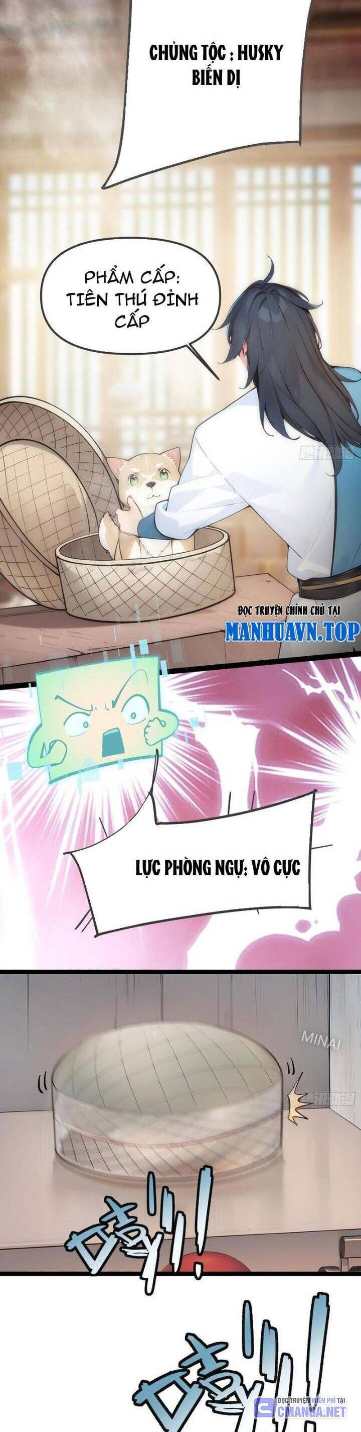 Ngươi Làm Bộ Tu Luyện Đi! Chapter 12 - 2