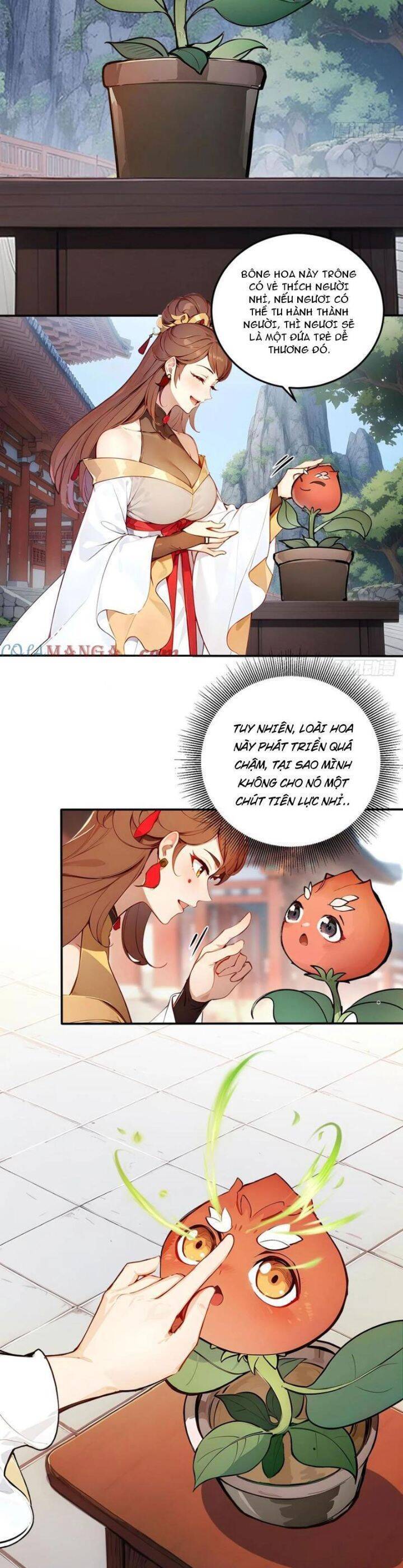 Ngươi Làm Bộ Tu Luyện Đi! Chapter 56 - 8