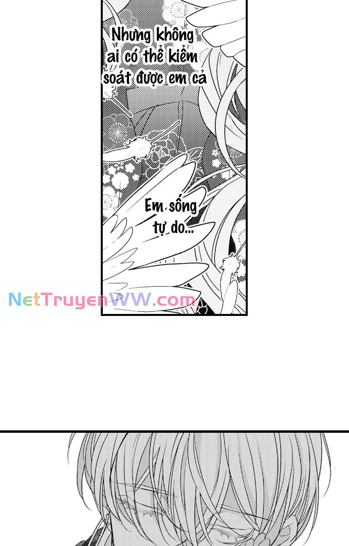 Ván Cược Tình Ái Chapter 20 - 26