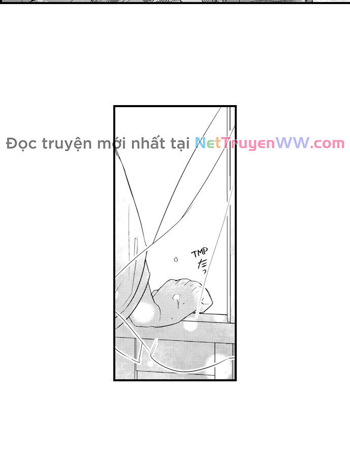 Ván Cược Tình Ái Chapter 23 - 6