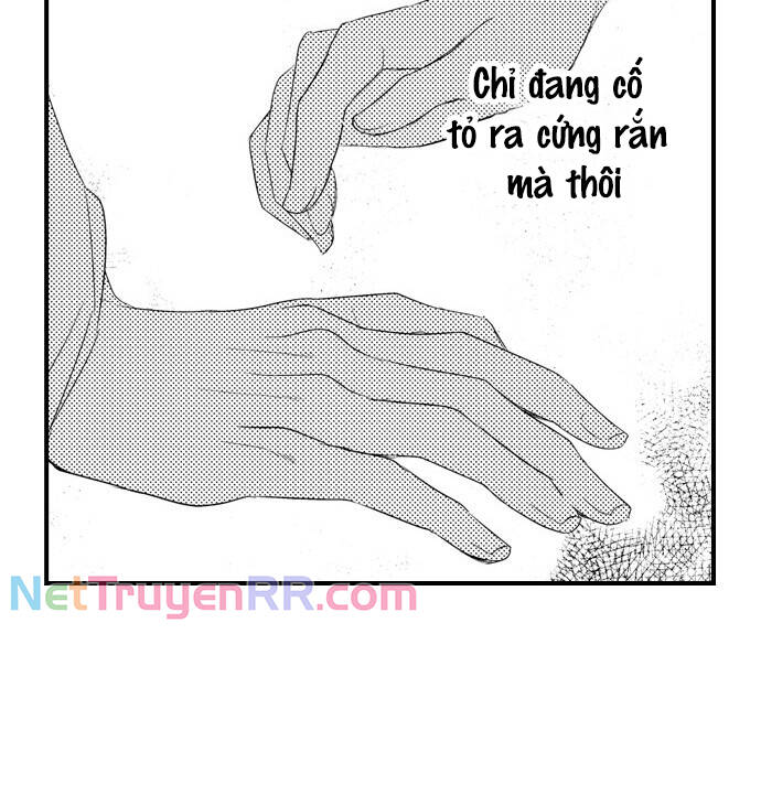 Ván Cược Tình Ái Chapter 27 - 11