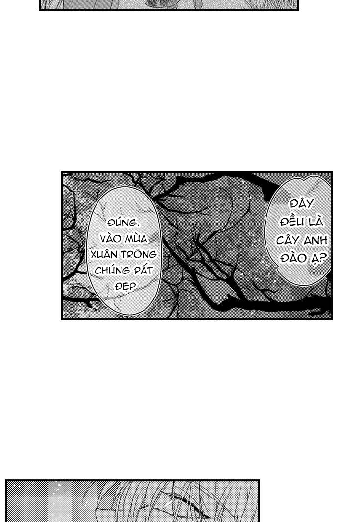 Ván Cược Tình Ái Chapter 27 - 18