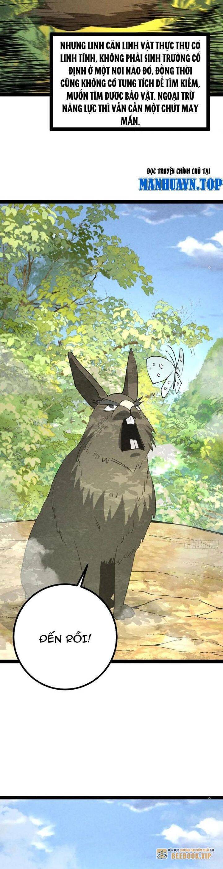 Trở thành tiên bắt đầu từ việc xuyên không thành... heo Chapter 38 - 8