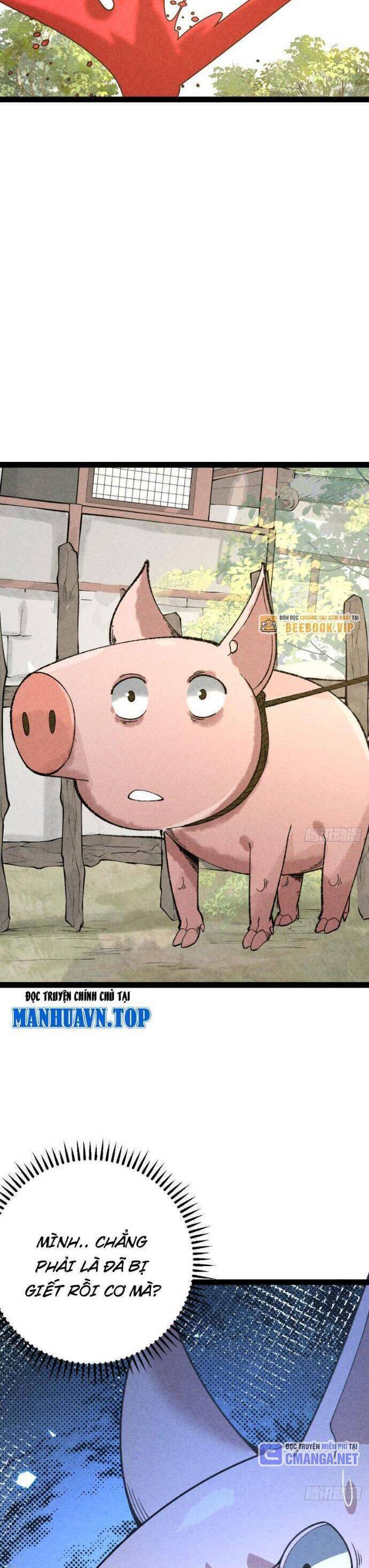 Trở thành tiên bắt đầu từ việc xuyên không thành... heo Chapter 57 - 22