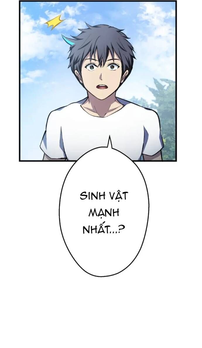 Quật Khởi Từ Tầng Đáy Chapter 31 - 8