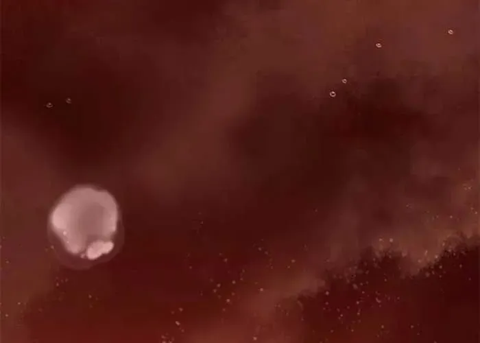 Thiên Trung Long Môn Chapter 24 - 102