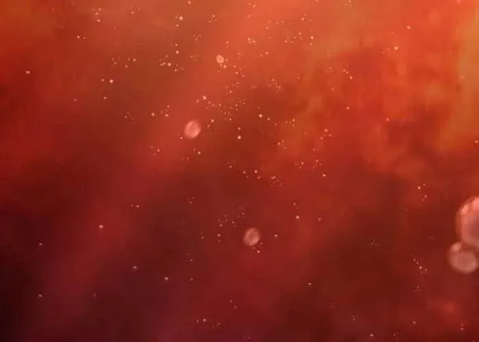 Thiên Trung Long Môn Chapter 24 - 48