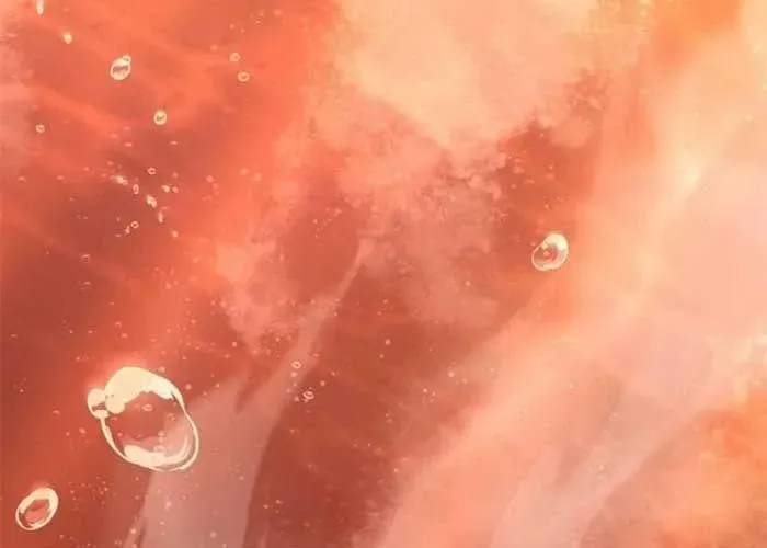 Thiên Trung Long Môn Chapter 24 - 98