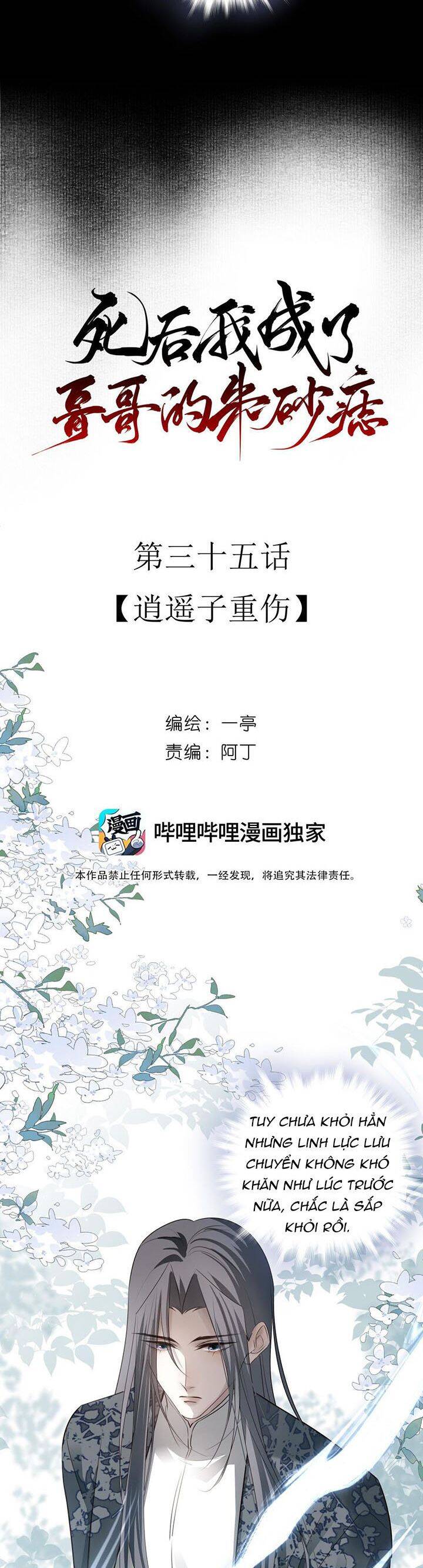 Sau Khi Chết Ta Trở Thành Nốt Chu Sa Của Ca Ca Chapter 35 - 11