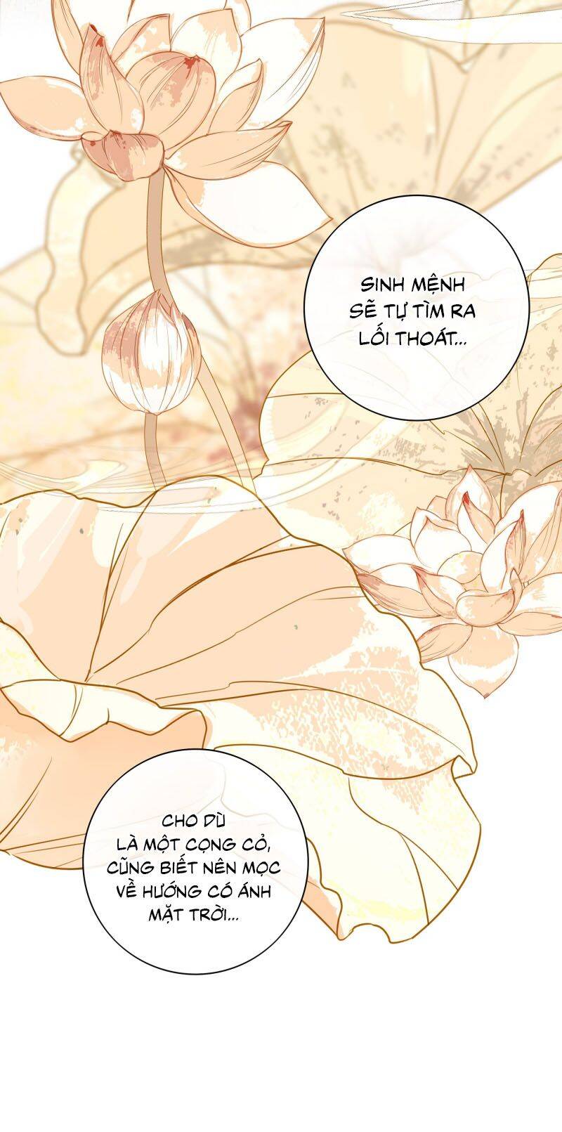 Sau Khi Chết Ta Trở Thành Nốt Chu Sa Của Ca Ca Chapter 58 - 39