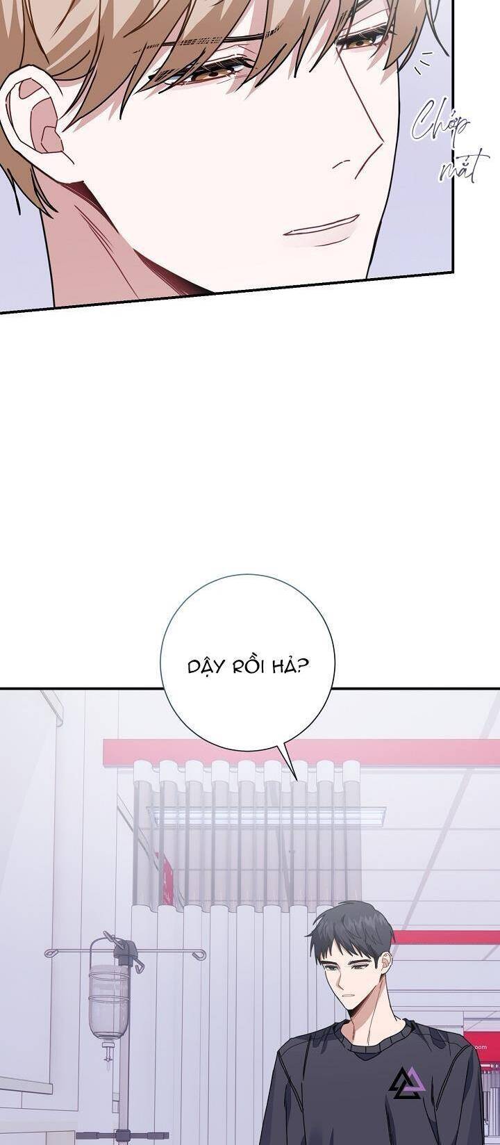 Khu Vực Chủ Nghĩa Tình Yêu Chapter 15 - 43