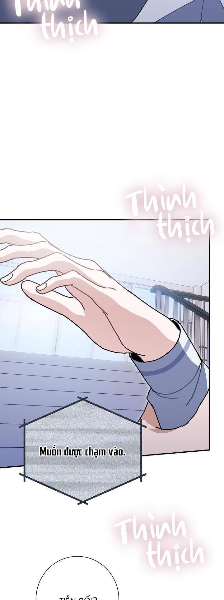 Khu Vực Chủ Nghĩa Tình Yêu Chapter 29 - 15