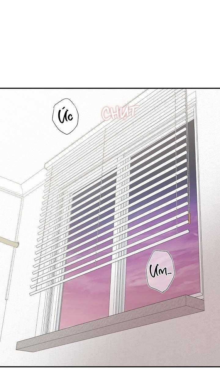 Khu Vực Chủ Nghĩa Tình Yêu Chapter 71 - 35