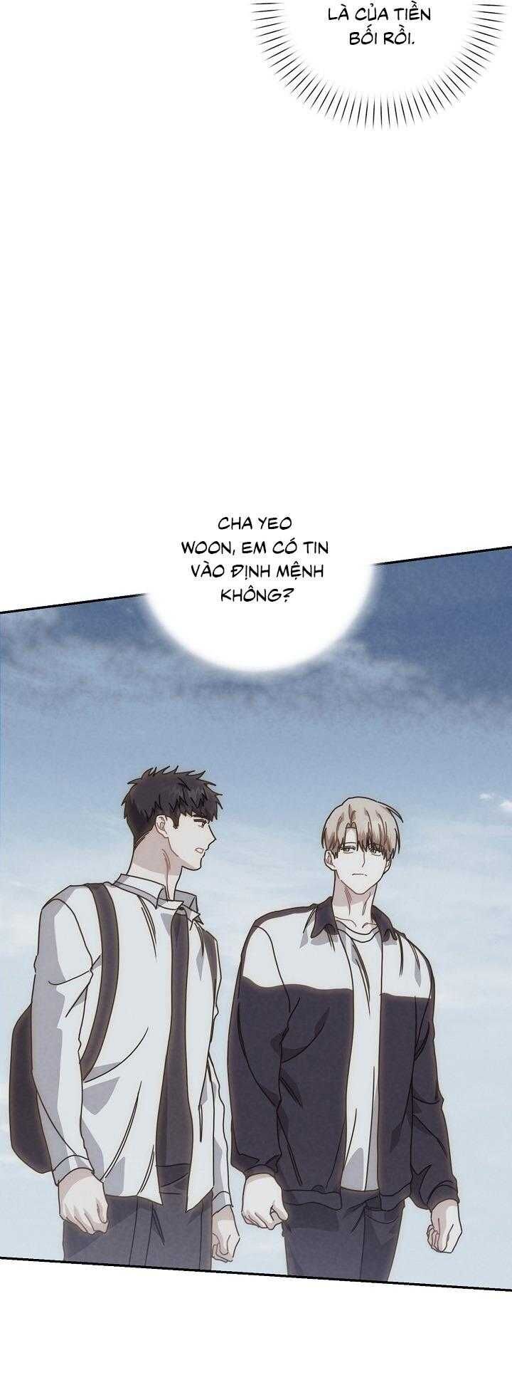 Khu Vực Chủ Nghĩa Tình Yêu Chapter 79 - 52