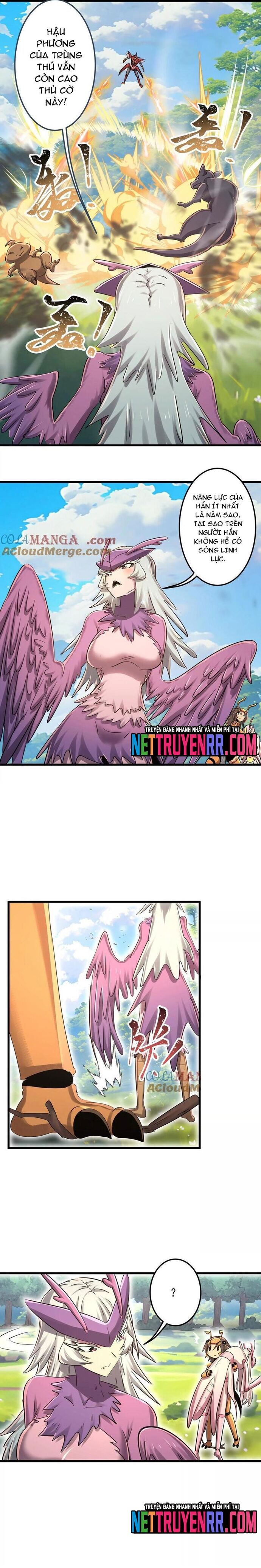 Bản Sao Của Tôi Là Trùng Vương Không Gian Chapter 47 - 6