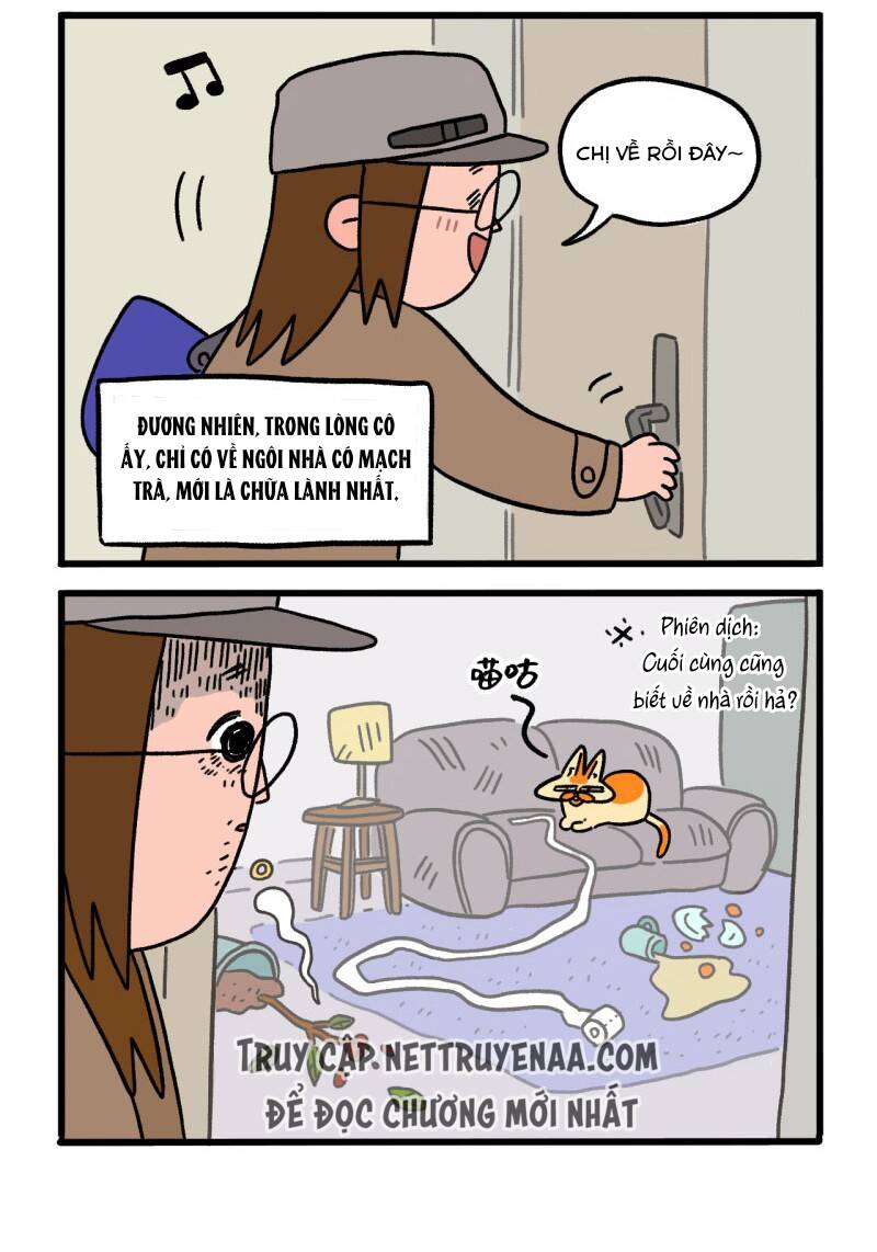A Mãn Và Mạch Trà Chapter 1 - 3