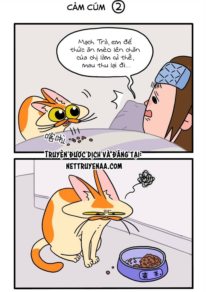 A Mãn Và Mạch Trà Chapter 11 - 3