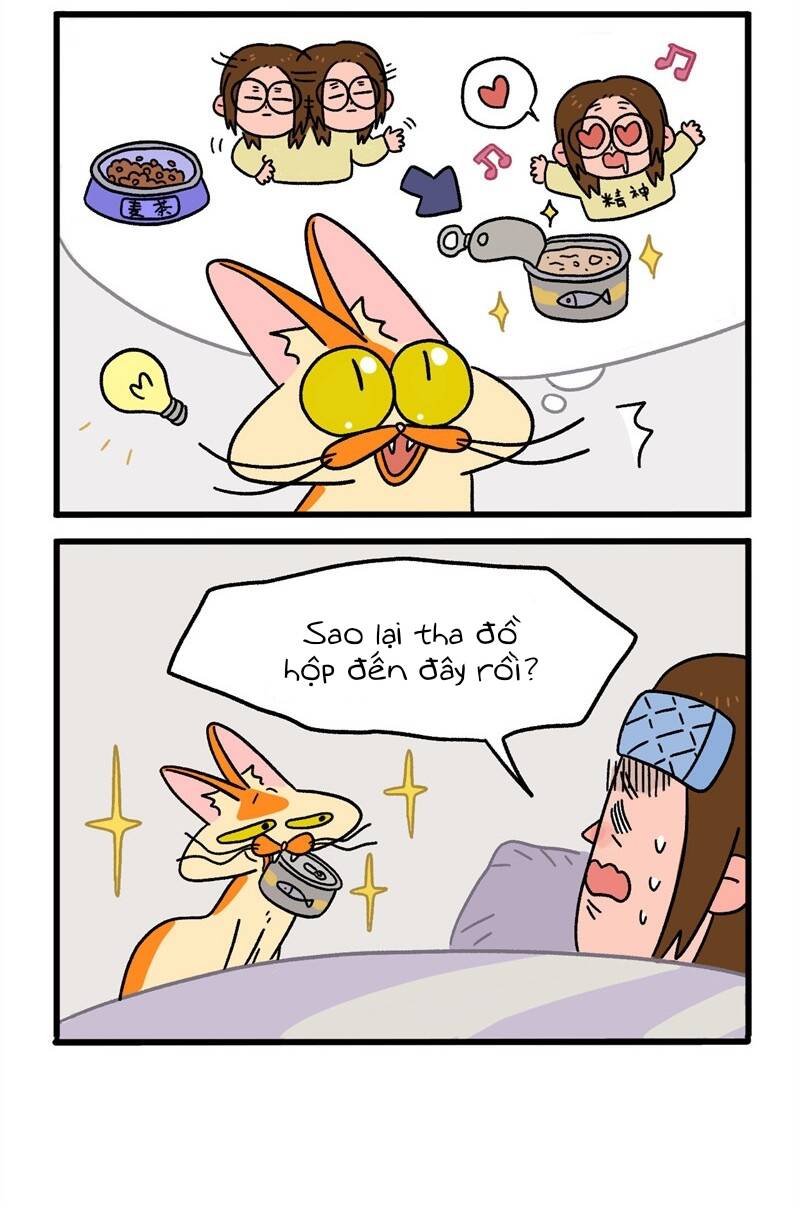 A Mãn Và Mạch Trà Chapter 11 - 4