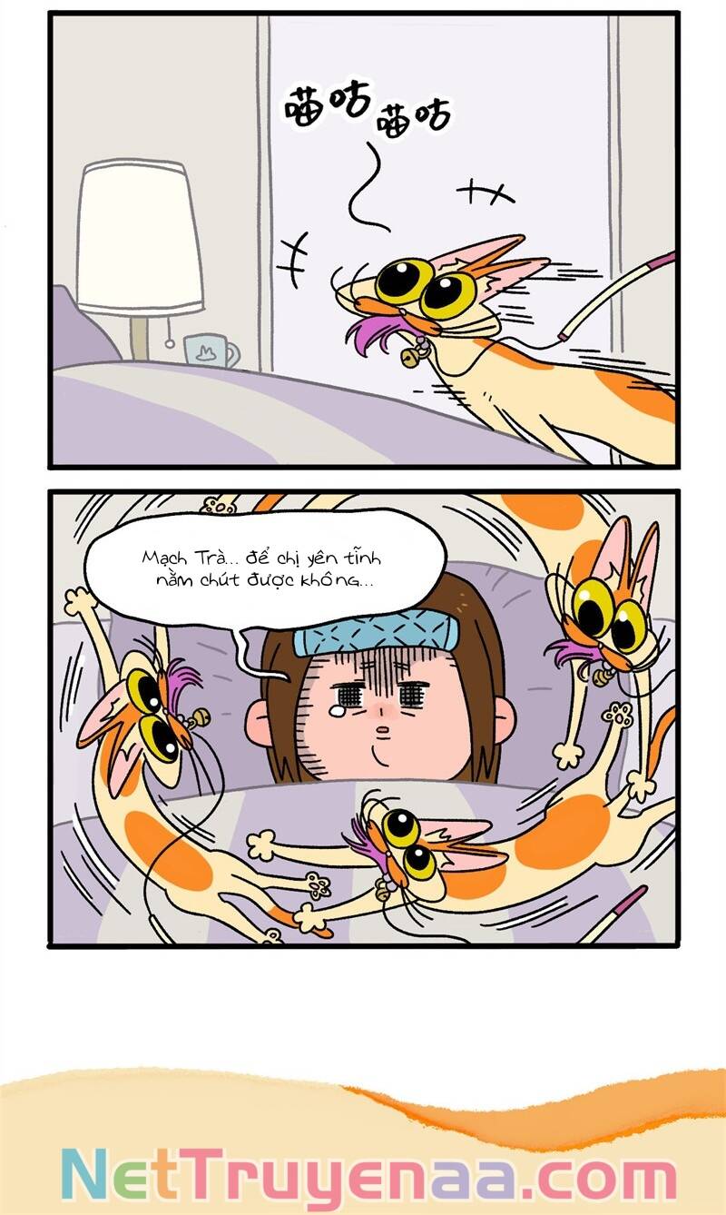 A Mãn Và Mạch Trà Chapter 11 - 6