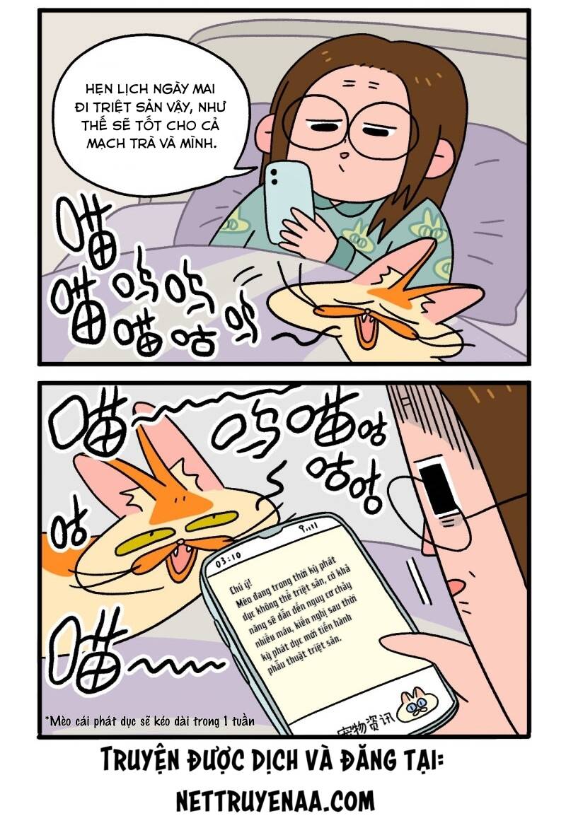 A Mãn Và Mạch Trà Chapter 12.1 - 3