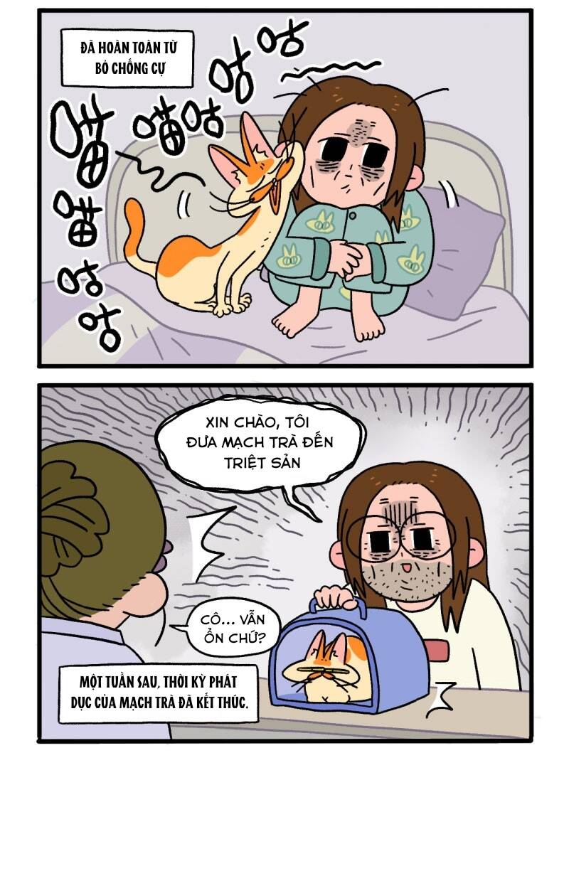 A Mãn Và Mạch Trà Chapter 12.1 - 5